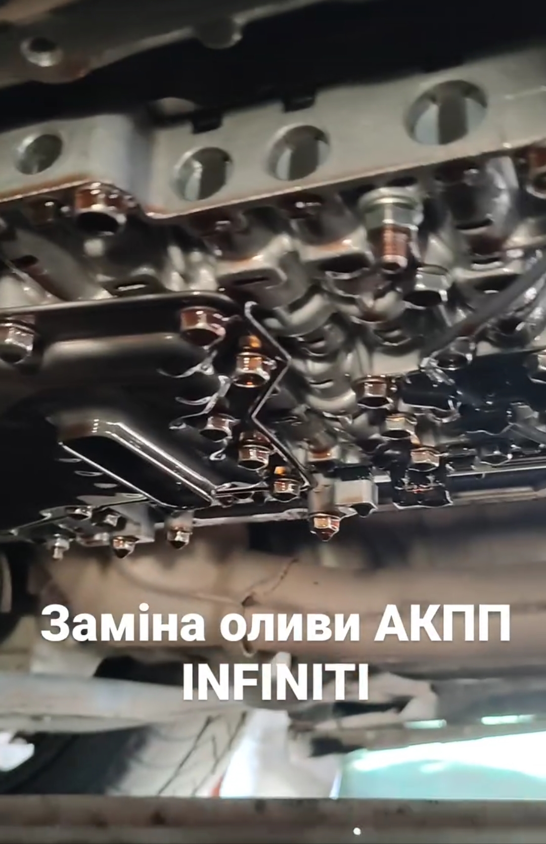 zamina_olivi_akpp